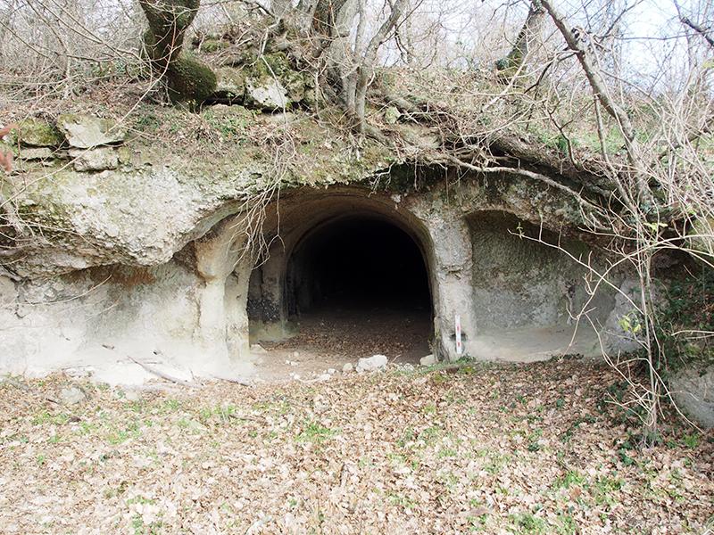 B.I.S.A.: Rock settlement census