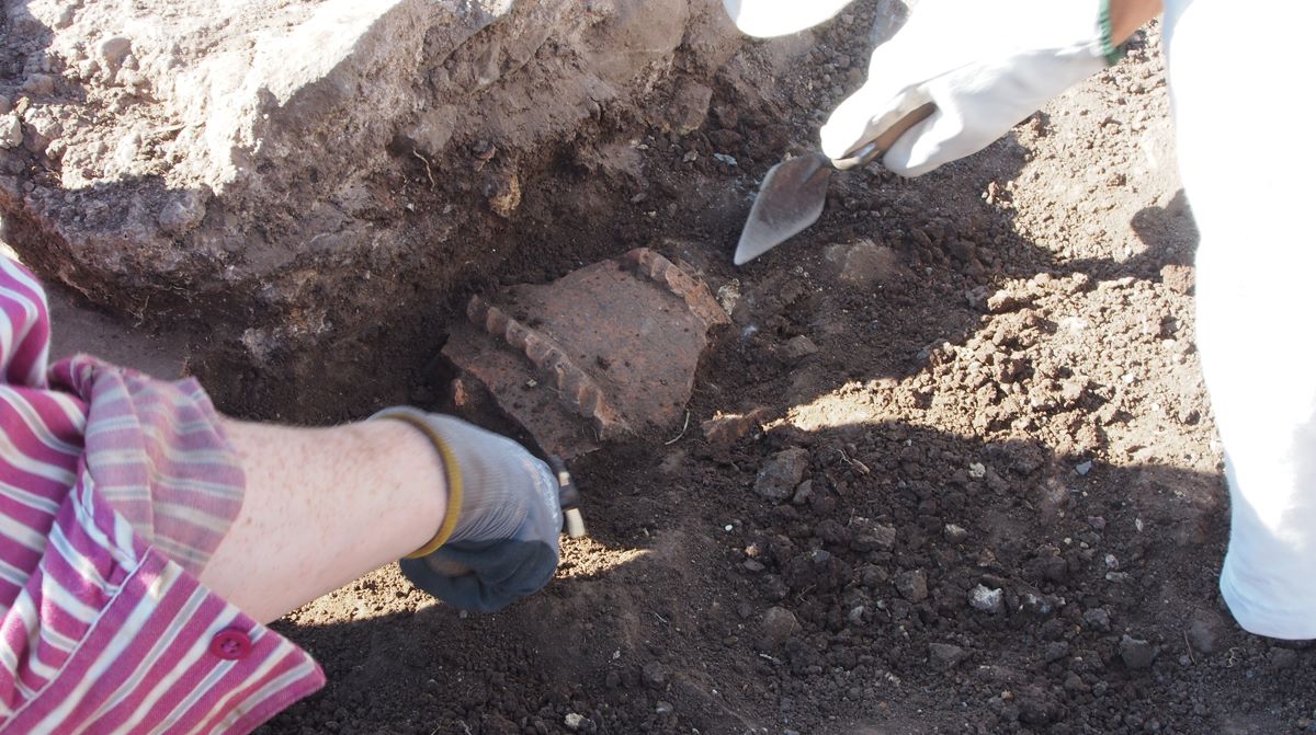 This Summer, become an Archaeology reporter with us!!