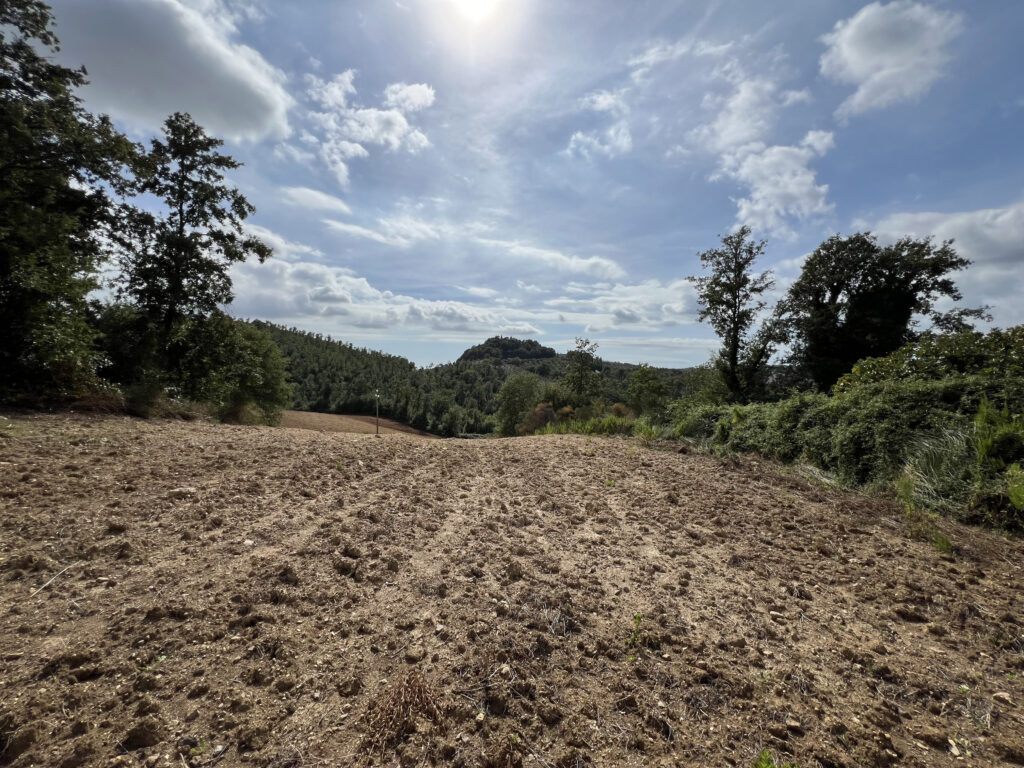 Field survey near Scerpena Castle
